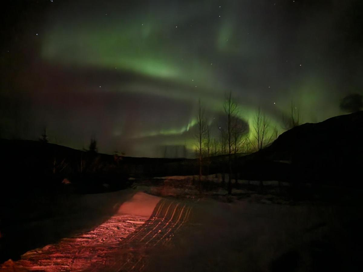 Golden Circle Cabin, Hot Tub Villa Geysir Bagian luar foto