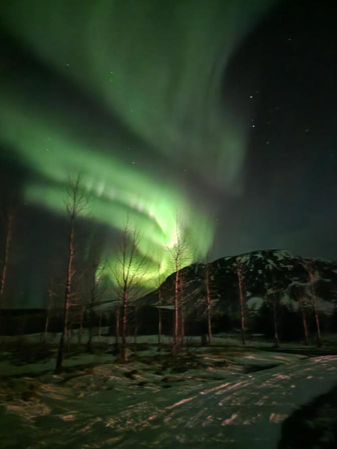 Golden Circle Cabin, Hot Tub Villa Geysir Bagian luar foto